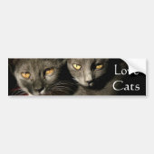 Love Cats Bumpersticker (Voorkant)
