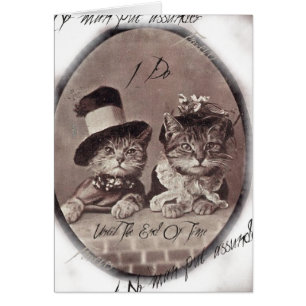  Love Cats Card
