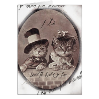  Love Cats Card
