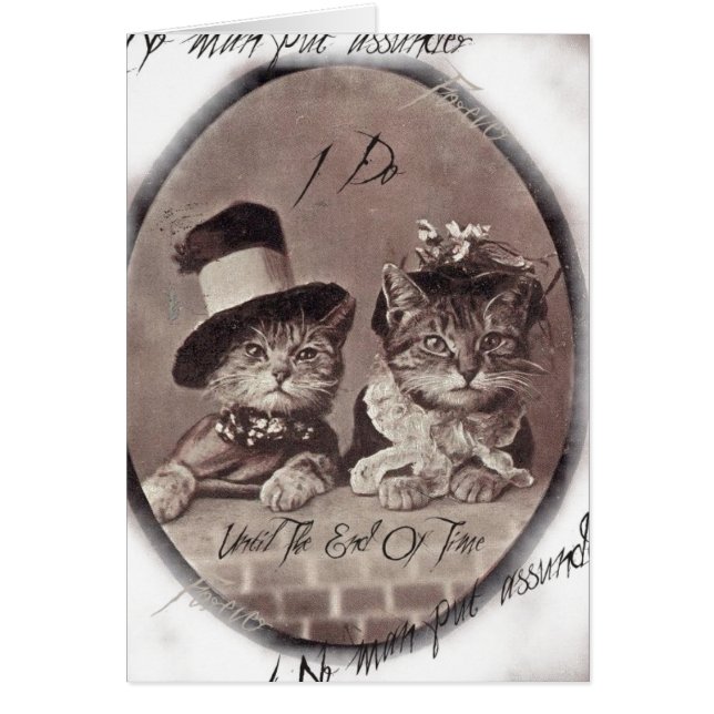  Love Cats Card (Voorkant)