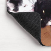 Love Cats Mousepad Muismat (Hoek)