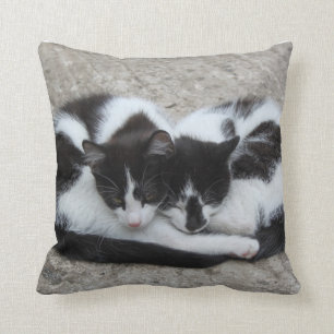 Love Cats Pillow Kussen