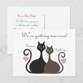 Love Cats Sla het Briefkaart van de datumbekendmak (Voorkant / Achterkant)