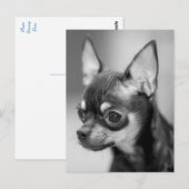 Love Chihuahua Puppy Dog Black and White Post Card Briefkaart (Voorkant / Achterkant)