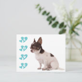 Love Chihuahua Puppy Dog Post Card Briefkaart (Staand voorkant)