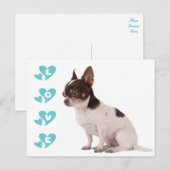 Love Chihuahua Puppy Dog Post Card Briefkaart (Voorkant / Achterkant)