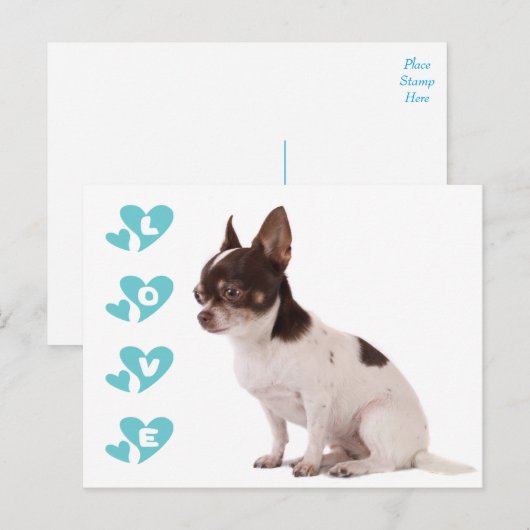 Love Chihuahua Puppy Dog Post Card Briefkaart (Voorkant / Achterkant)