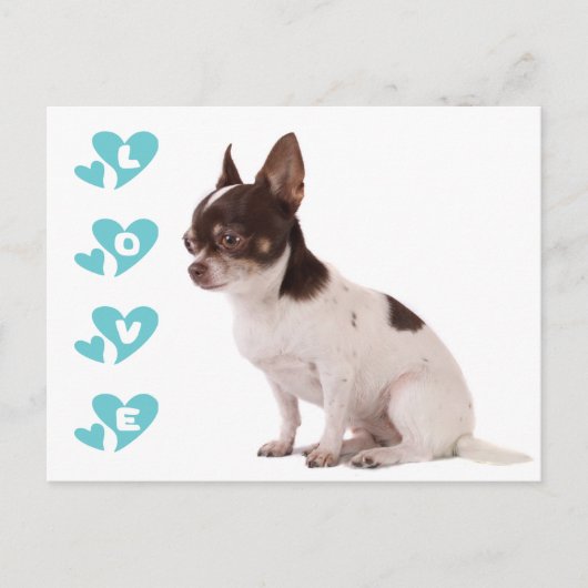 Love Chihuahua Puppy Dog Post Card Briefkaart (Voorkant)