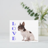 Love Chihuahua Puppy Dog Post Card Briefkaart (Staand voorkant)
