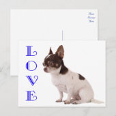 Love Chihuahua Puppy Dog Post Card Briefkaart (Voorkant / Achterkant)