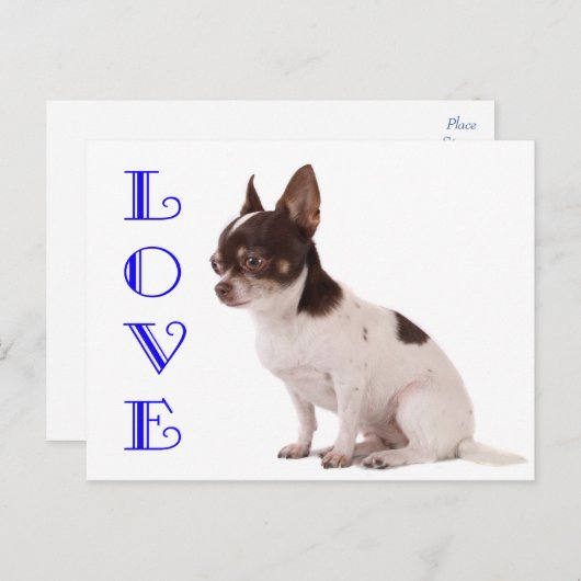 Love Chihuahua Puppy Dog Post Card Briefkaart (Voorkant / Achterkant)