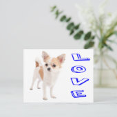 Love Chihuahua Puppy Dog Post Card Briefkaart (Staand voorkant)