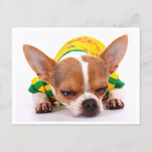 Love Chihuahua Puppy Dog Post Card Briefkaart