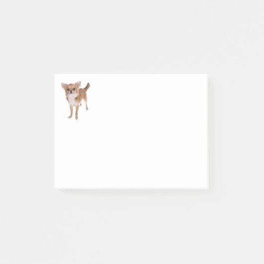 Love Chihuahua Puppy Dog Post IT Sticky Notes (Voorkant)