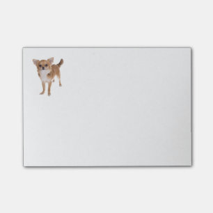 Love Chihuahua Puppy Dog Post IT Sticky Notes