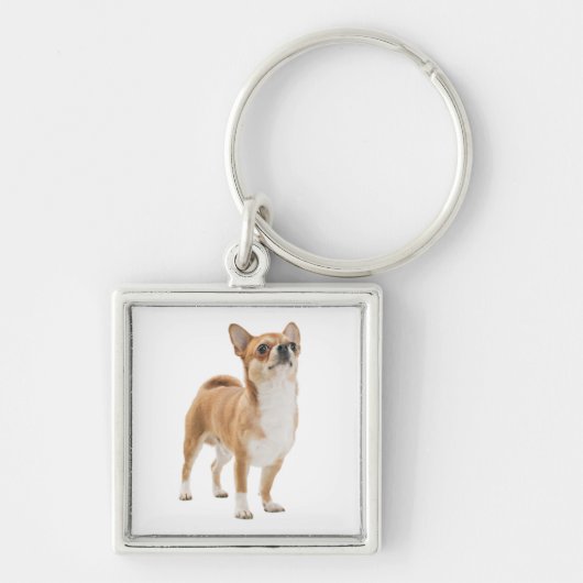 Love Chihuahua Puppy Dog Sleutelhanger (Voorkant)