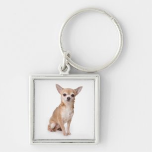 Love Chihuahua Puppy Dog Sleutelhanger