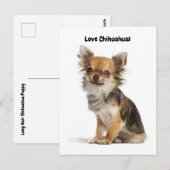 Love Chihuahuas Briefkaart (Voorkant / Achterkant)
