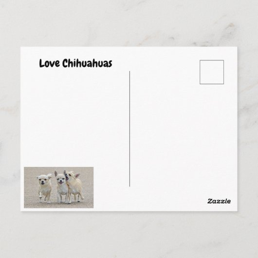 Love Chihuahuas briefkaart (Achterkant)