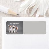 Love Chihuahuas Etiket (Insitu)