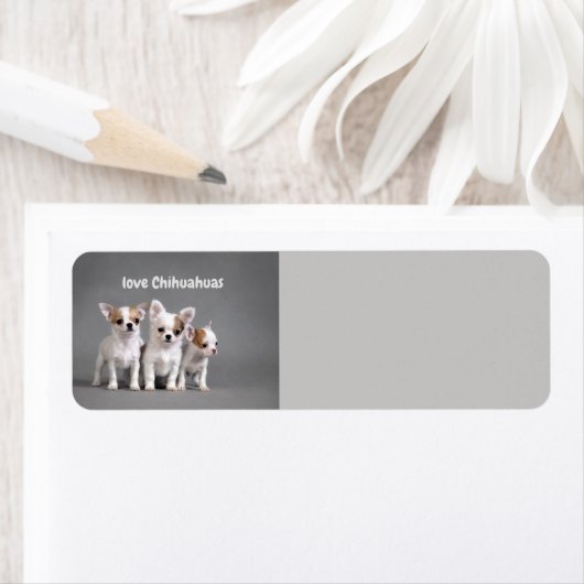 Love Chihuahuas Etiket (Insitu)