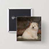 Love Chow Chow Puppy Dog Button Pin (Voorkant /achterkant)