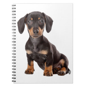 Love Dachshund Puppy Black & Tan Dog Notitieboek