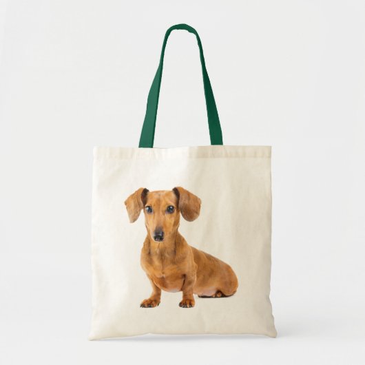 Love Dachshund Puppy Dog Canvas Canvas tas (Voorkant)