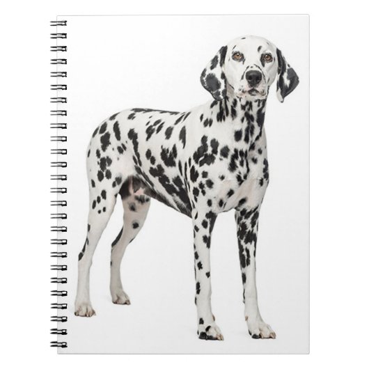Love Dalmatian Puppy Dog - Spotfire Dog Notitieboek (Voorkant)