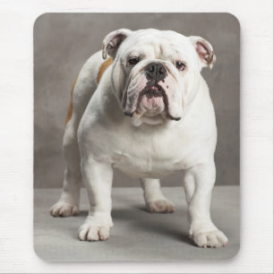 Love English Bulldog Puppy Dog Mousepad Muismat