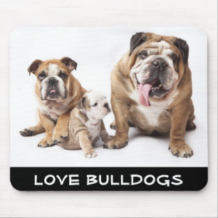 Love English Bulldogs Puppy Dogs Family Mousepad Muismat