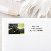 Love Ewe Sheep  Etiket (Insitu)