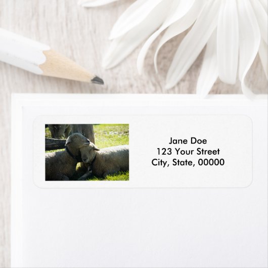 Love Ewe Sheep  Etiket (Insitu)