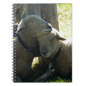 Love Ewe Sheep Notitieboek (Voorkant)