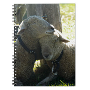 Love Ewe Sheep Notitieboek