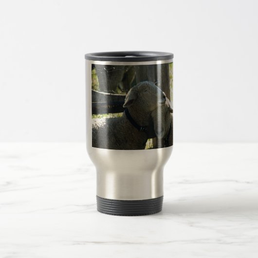 Love Ewe Sheep Reisbeker (Center)