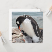 Love Flat Wenskaart Kaart (Voorkant / Achterkant in situ)