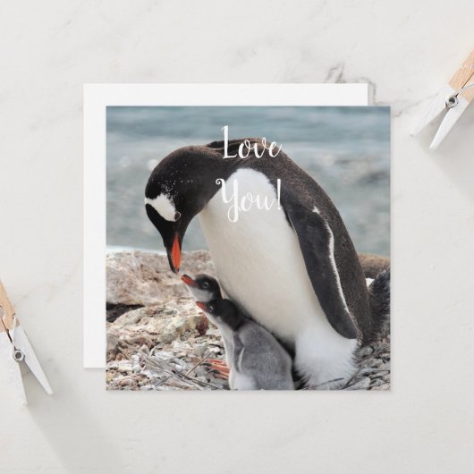 Love Flat Wenskaart Kaart (Voorkant / Achterkant in situ)