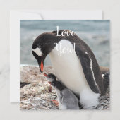 Love Flat Wenskaart Kaart (Voorkant)