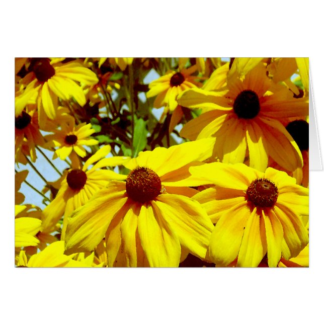 Love Flower_ (Voorkant Horizontaal)