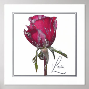 Love Folie Accent Red Rose Print Poster