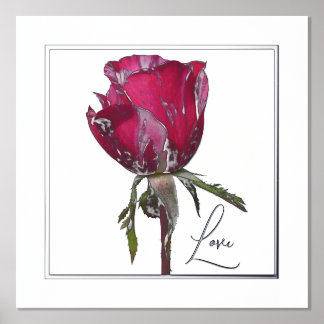Love Folie Accent Red Rose Print Poster