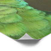 Love forever - cute parrots poster (Hoek)