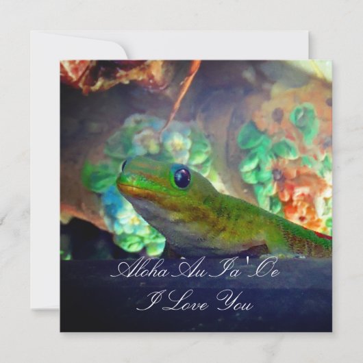 Love Gecko (Voorkant)