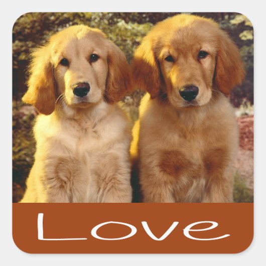Love Golden Retriever Puppy Dog Brown Stickers (Voorkant)
