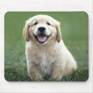 Love Golden Retriever Puppy Dog Green Grass Muismat