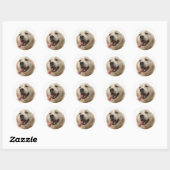 Love Golden Retriever Puppy Dog Stickers (Vel)