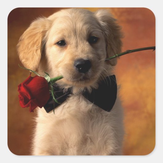 Love Golden Retriever Puppy Dog Stickers (Voorkant)