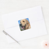 Love Golden Retriever Puppy Dog Stickers (Envelop)