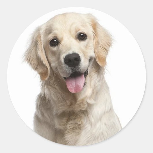 Love Golden Retriever Puppy Dog Stickers (Voorkant)